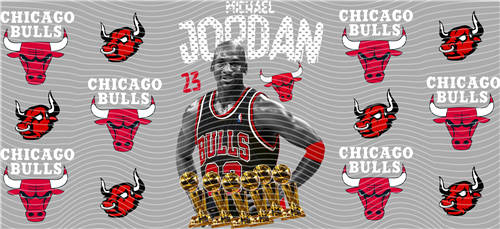 16oz Latest Bestseller-C 6376